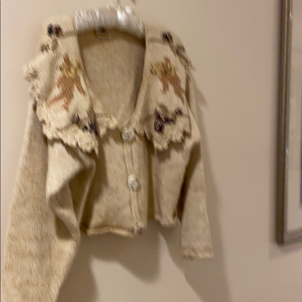Novelty sweater